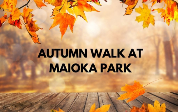 Autumn Walk at Maioka Park